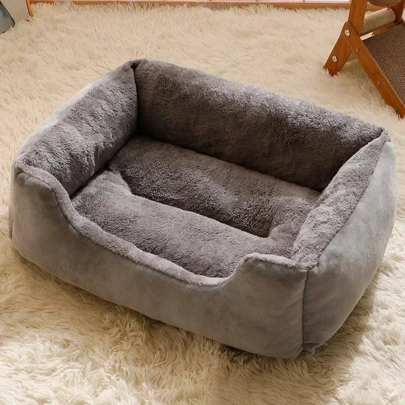 Sofa for a cat