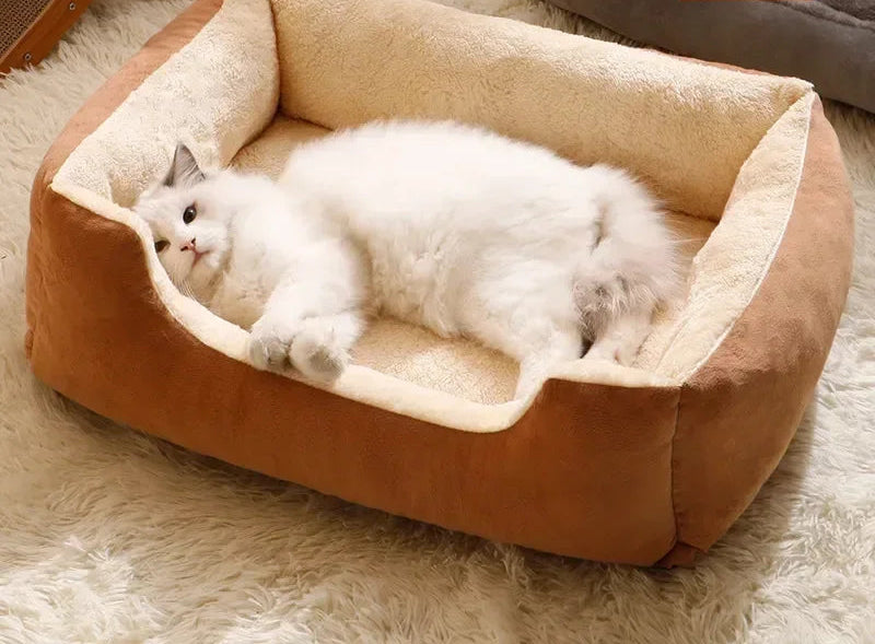 Sofa for a cat